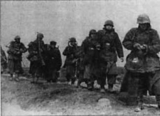 Иностранные добровольческие легионы и корпуса сс на восточном фронте